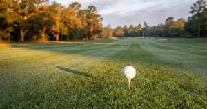 Online golf betting 2026 — markets, odds and what to read in a bookmaker